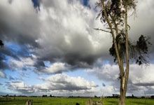 乒乓球——WTT重庆冠军赛：张本智和晋级八.