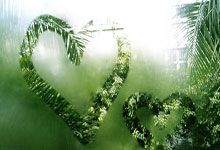 [澳网]36岁“小将张帅”：热情不息 追梦不止.