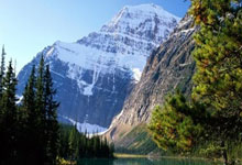 海湾杯出局一地鸡毛 沙特主帅被质疑不如曼奇尼.