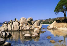 [澳网]36岁“小将张帅”：热情不息 追梦不止.